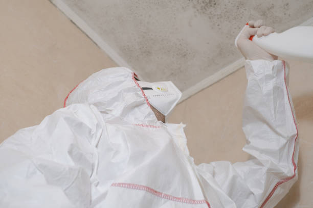 Best Office Mold Removal Services  in La Fayette, AL